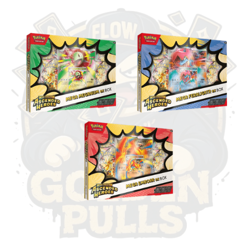 Pokémon TCG: Ascended Heroes – INGLES - Mega Emboar ex Box, Mega Meganium ex Box & Mega Feraligatr ex Box